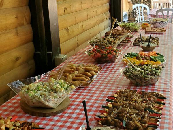 ארוחת-צהרים-בברכה